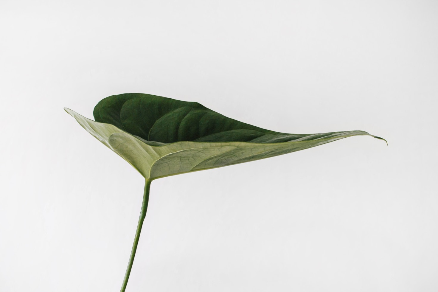 How Zero Waste Can Transform Agriculture