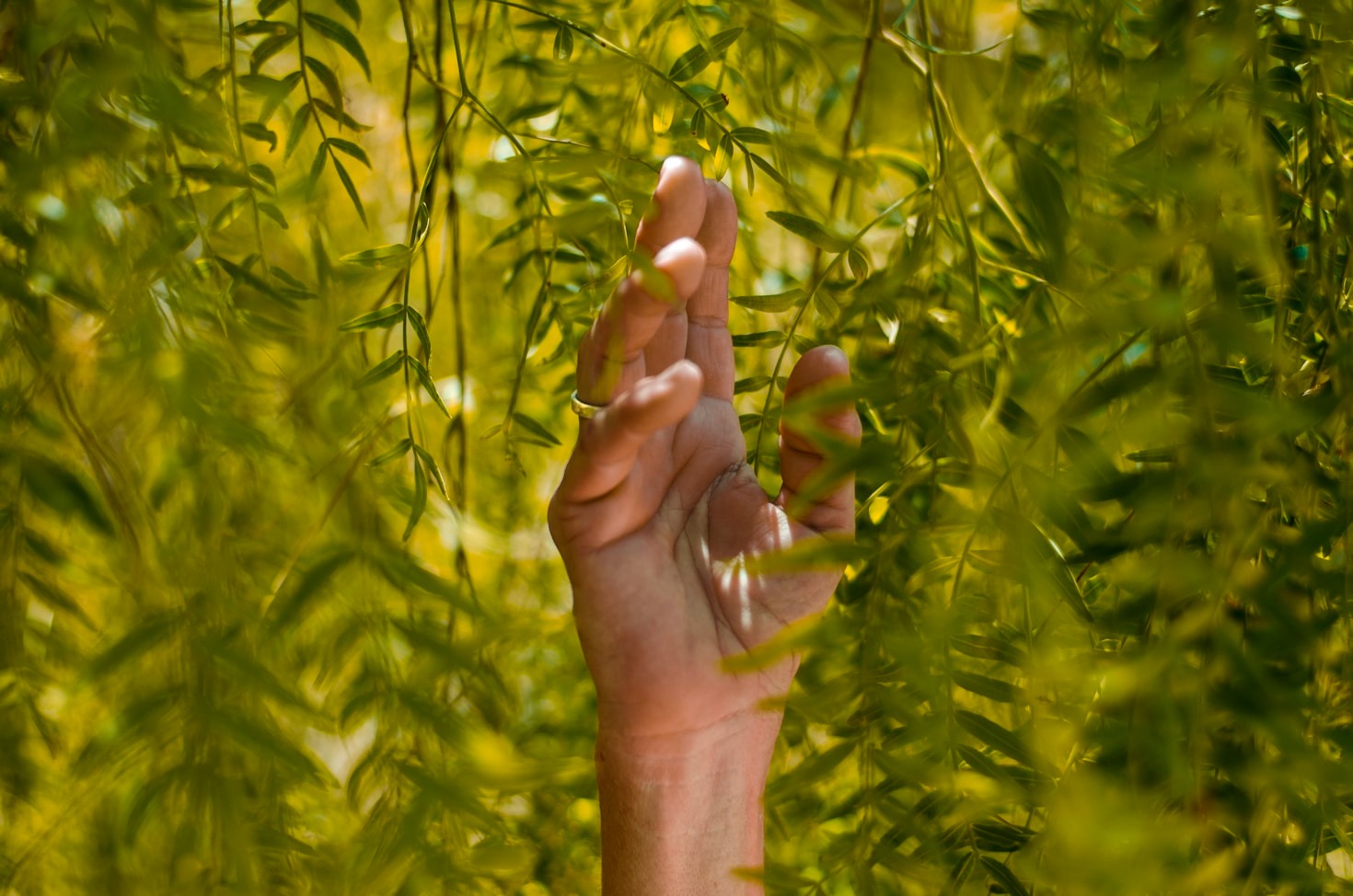 Top Innovations in Sustainable Farming