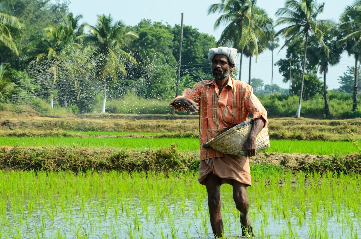The Role of Human Potential in Sustainability