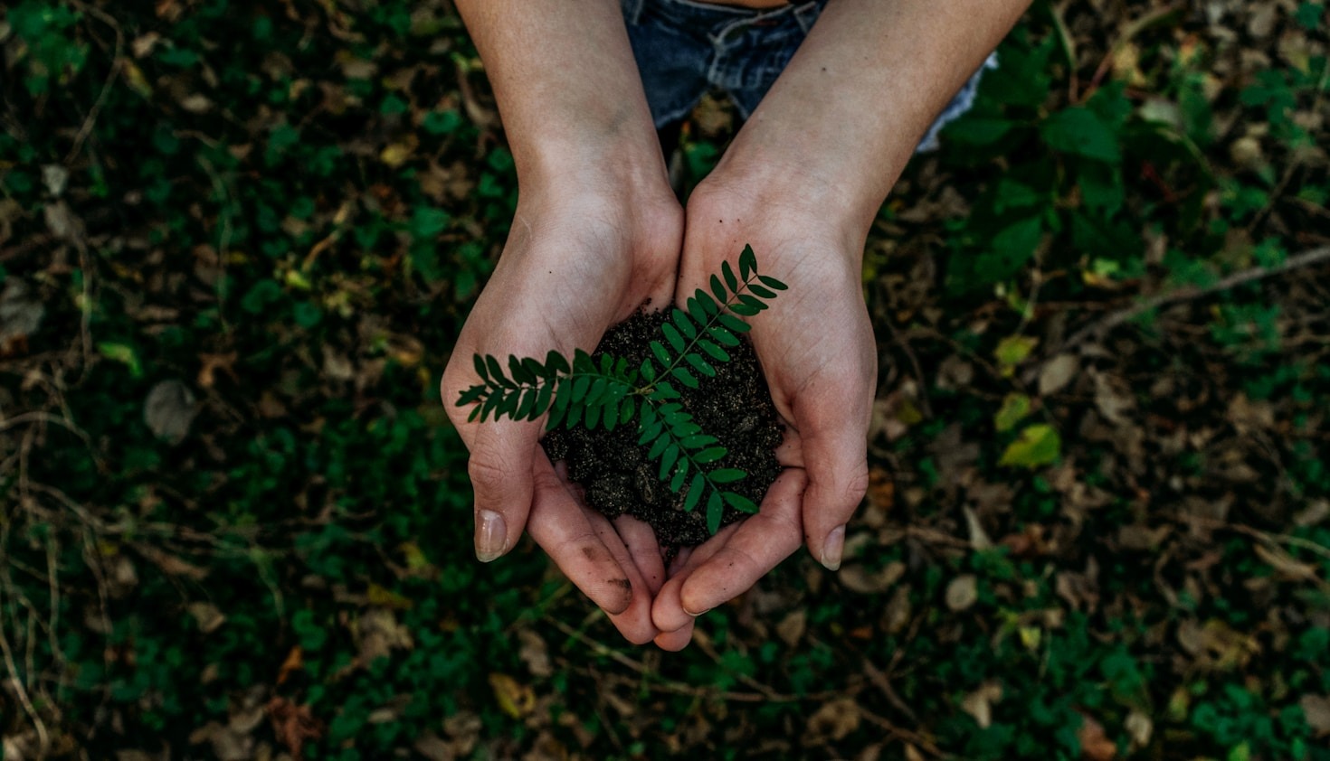 Innovative Approaches to Sustainable Growth