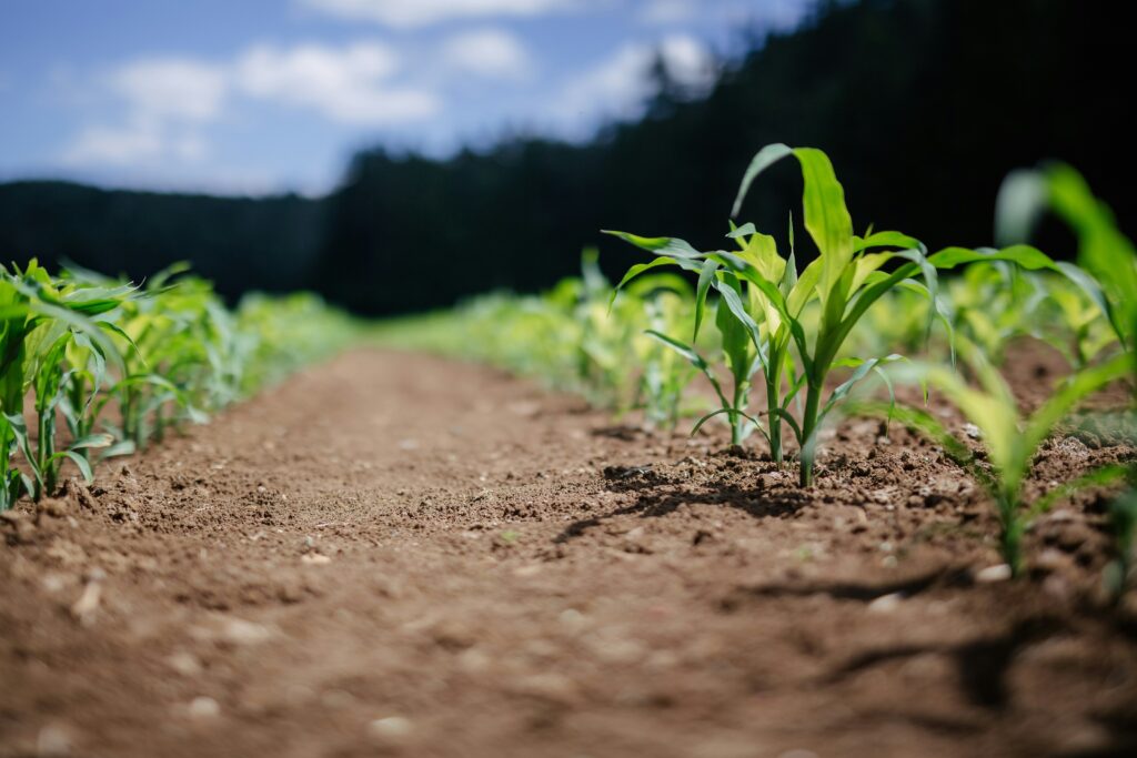 Hello World Featured Image